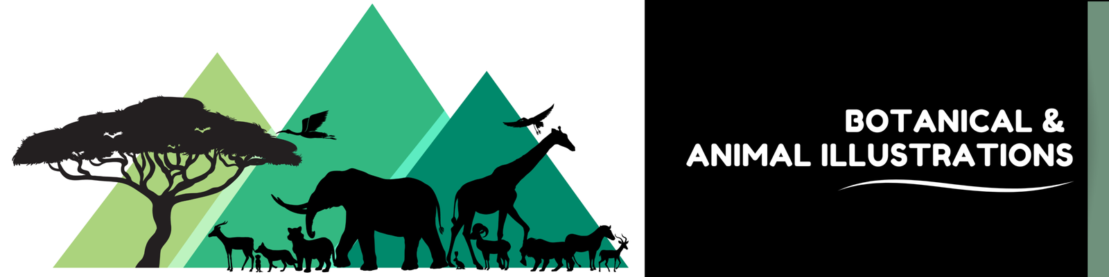 buy-botanical-and-animal-illustrations-musings-of-a-reader