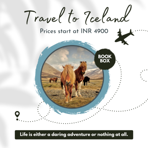 Iceland Book Box | Around The Globe