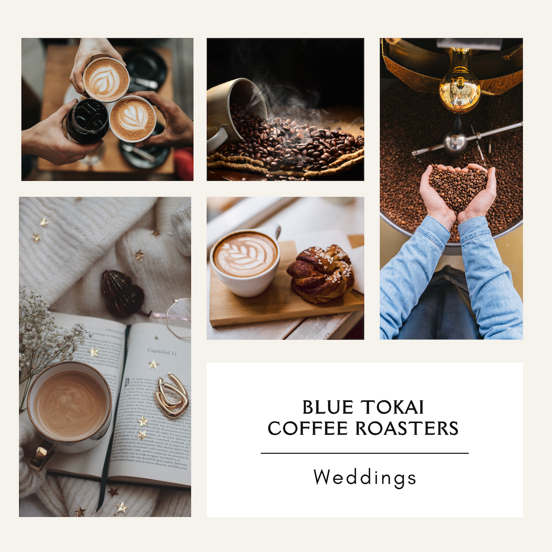 Blue-tokai-vienna-roast-dark-coffee-wedding-book-box-musings-of-a-reader