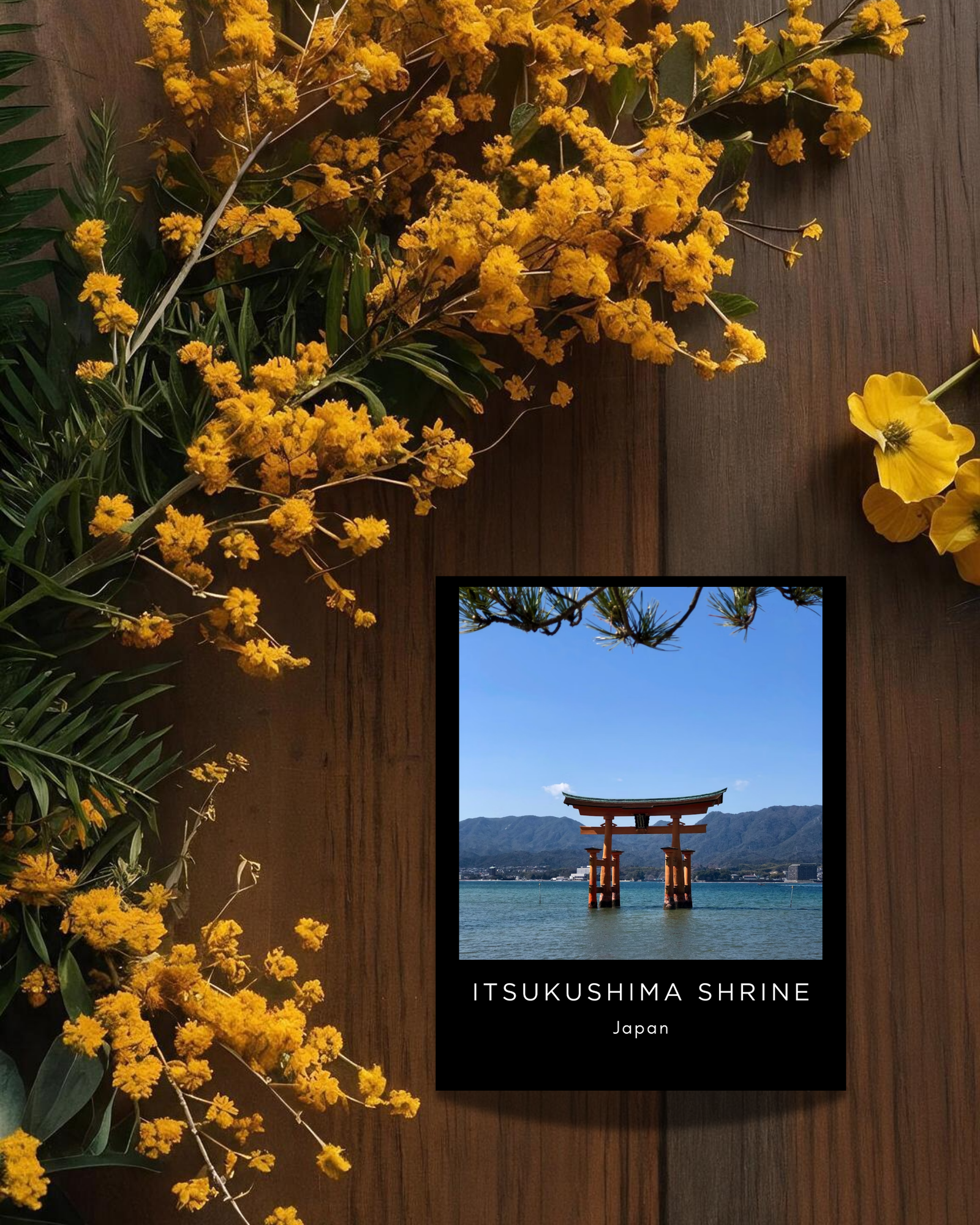 Itsukushima-shrine-postcard-japan-musings-of-a-reader