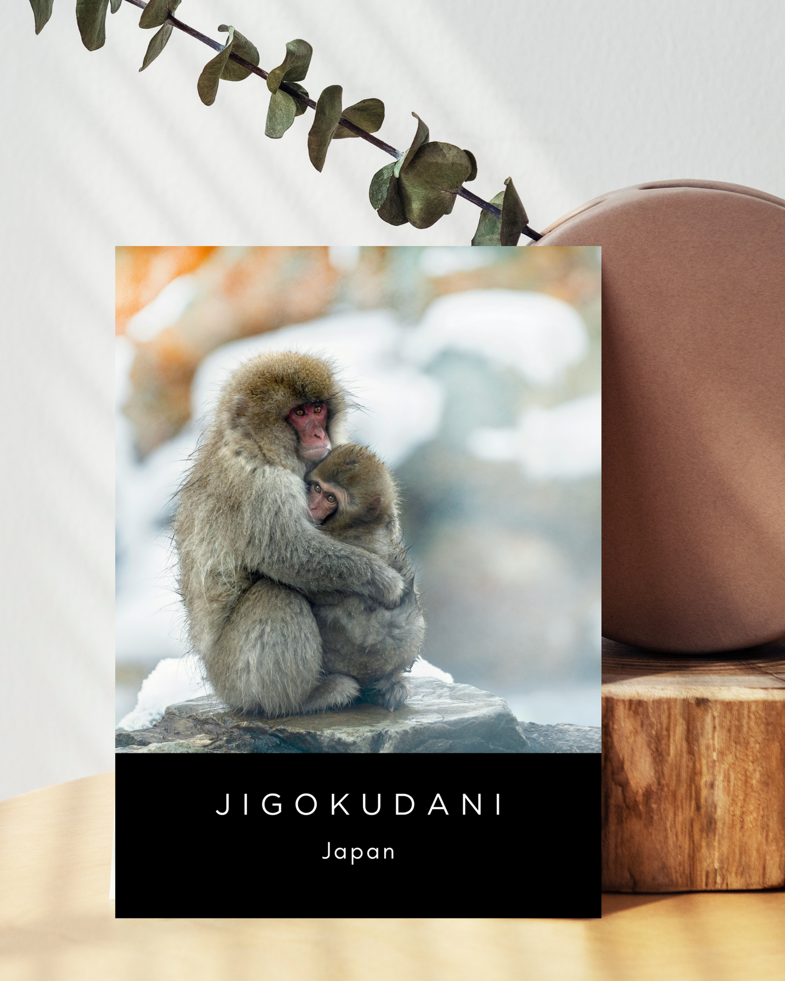 Japan-jigokudani-postcard-japan-musings-of-a-reader