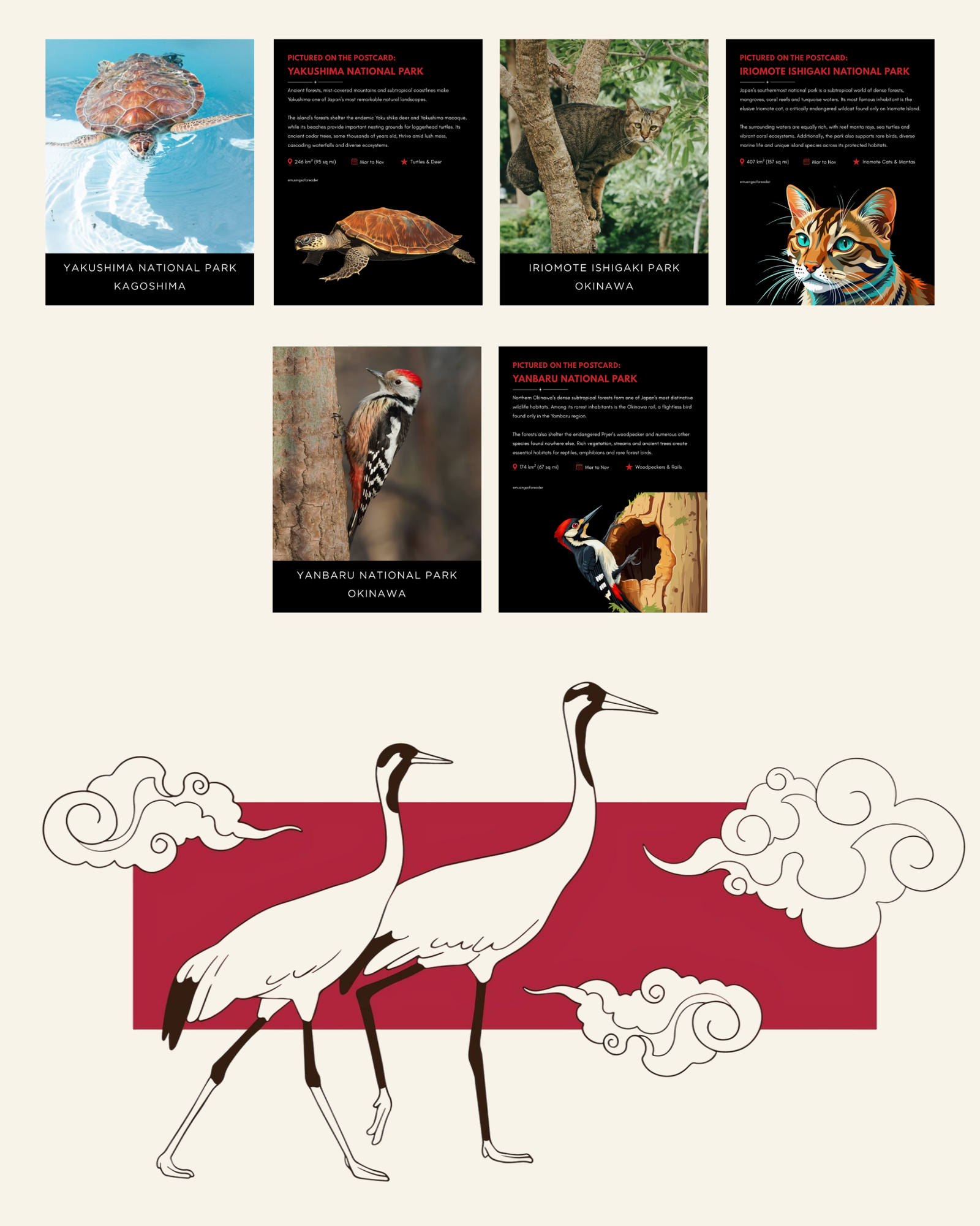 Japan-wildlife-postcard-collection-japanese-cranes-artwork-musings-of-a-reader