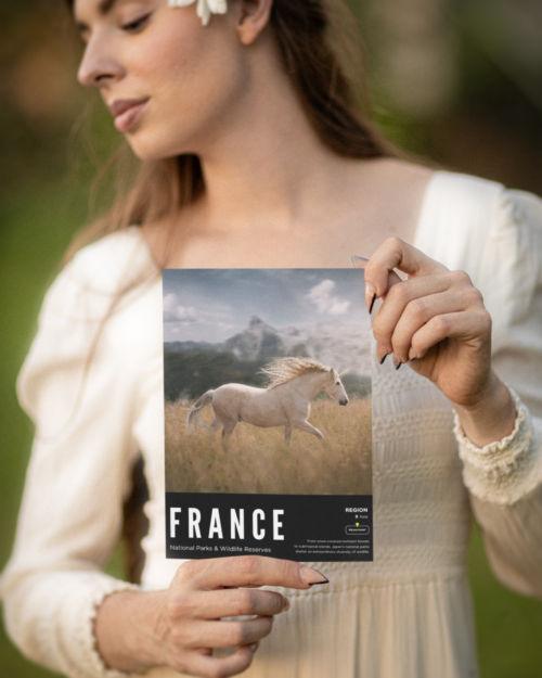 France - National Parks & Wildlife Reserves (Set of 11)